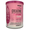 CREATINE ELECTROLYTE REFRESHER BIRDMAN – 30 SERV - Supplab MX